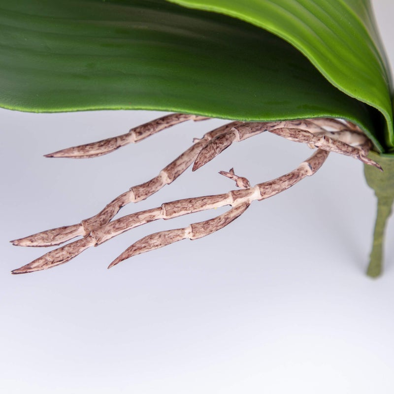 Fnize Faux Orchid Leaves Artificial Phalaenopsis Leaf Bulk 10 Inches 2pcs Real Touch Latex Cymbidium Stems Green Plant - Image 3